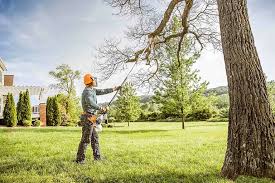 Best Storm Damage Tree Cleanup  in College, AK